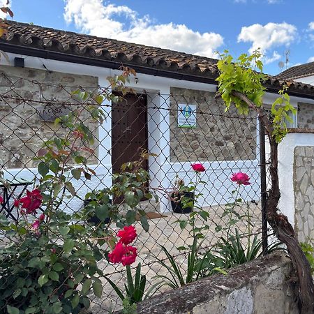 Vila La Casa Vieja De Marchenilla Jimena De La Frontera Exteriér fotografie