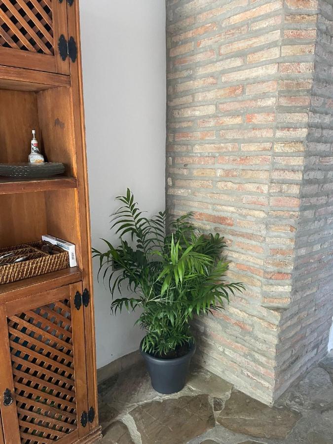 Vila La Casa Vieja De Marchenilla Jimena De La Frontera Exteriér fotografie